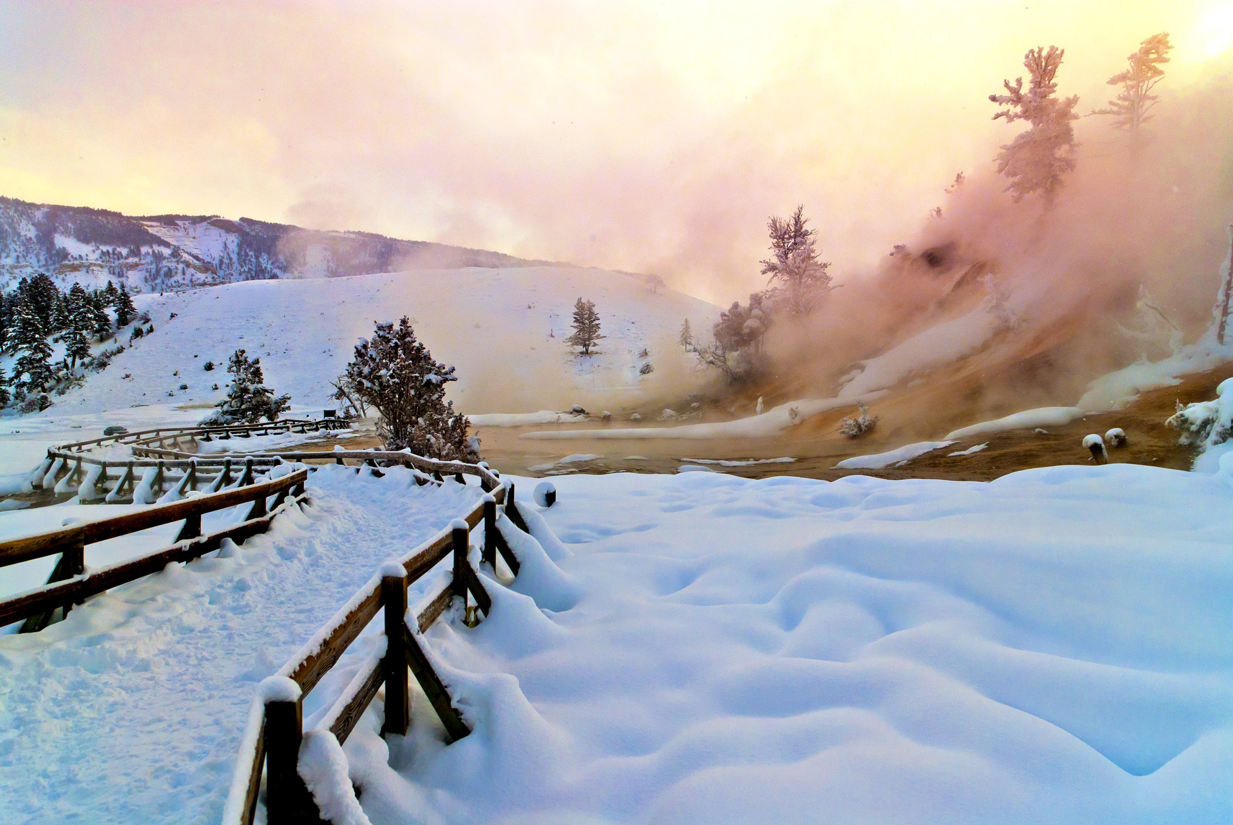 Snowy Mammoth Hot Springs at Yellowstone National Park