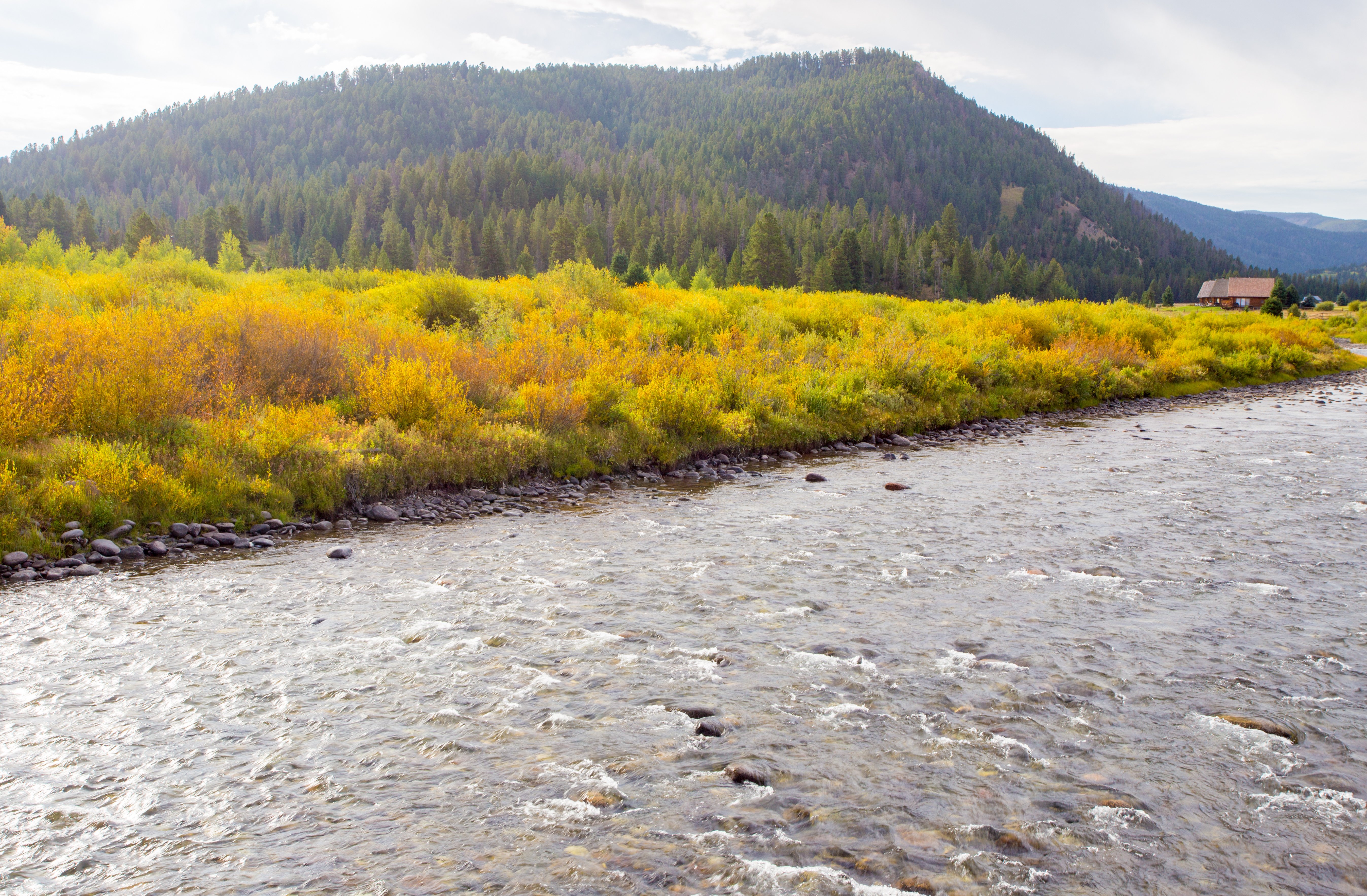 fall colors on the Gallatin River in Bozeman