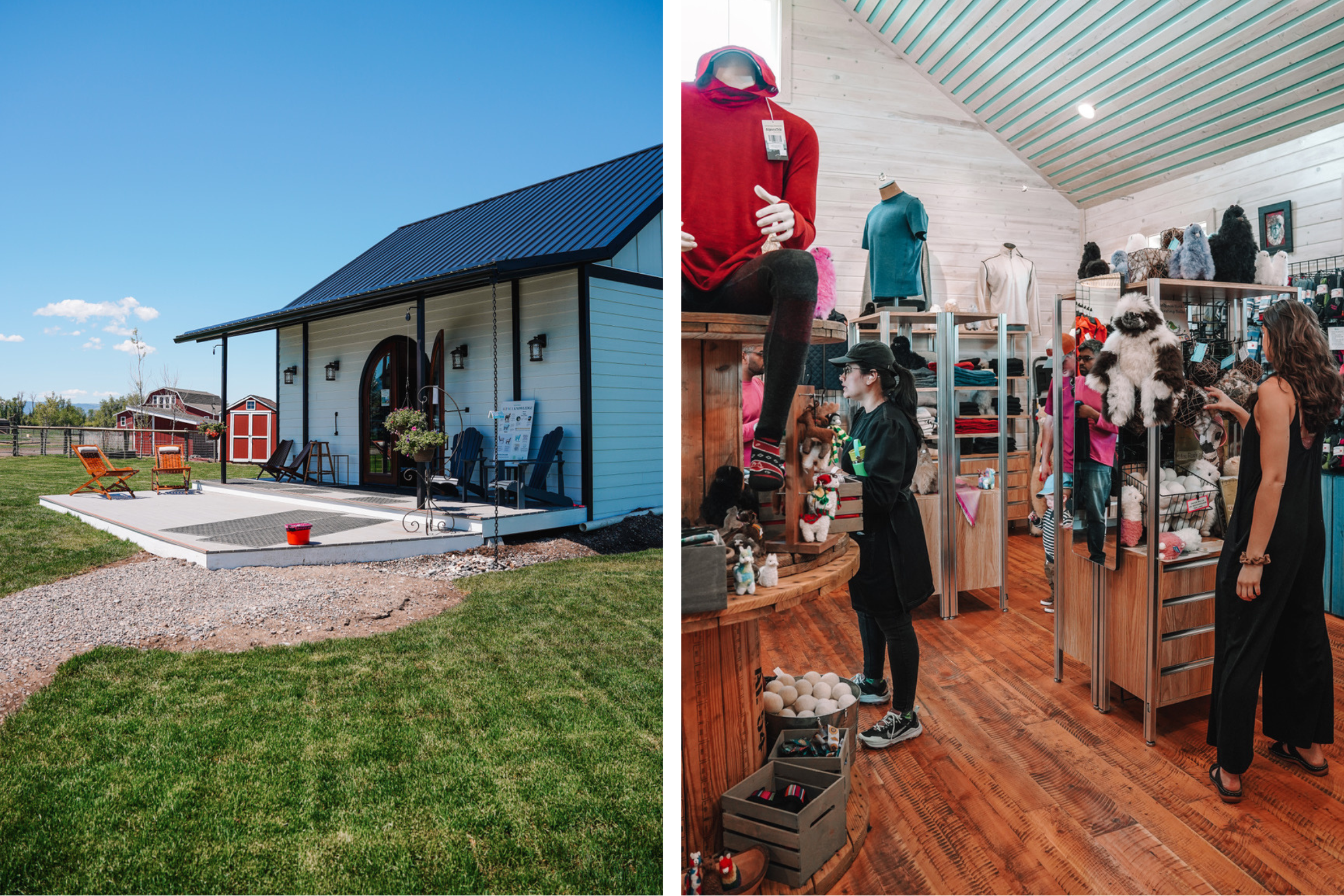 Two images of the Alpacas of Montana store; the one on the left is of the exterior, and the one on the right is of people shopping inside.