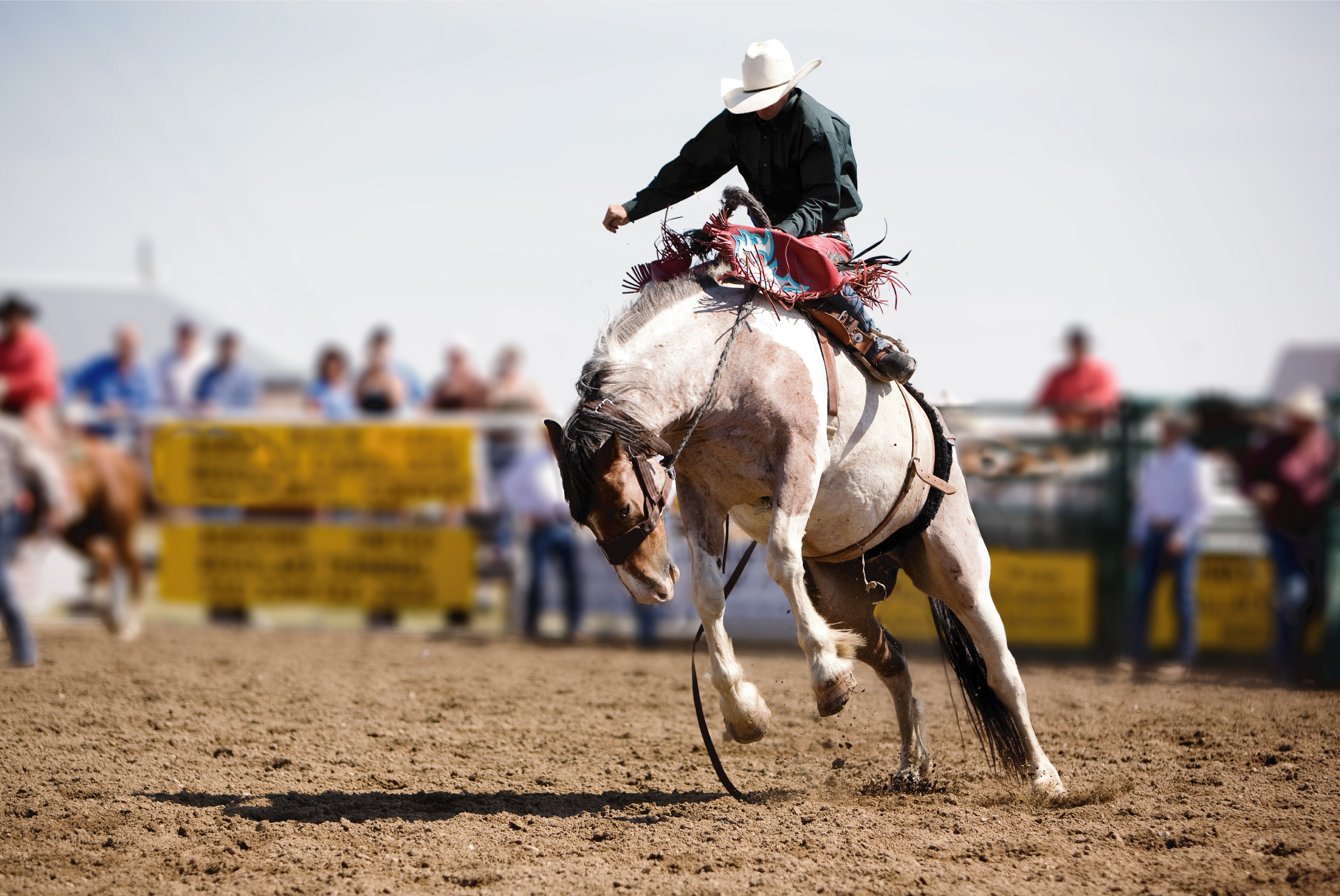 cowboy rides a horse in a rodeo in Montana