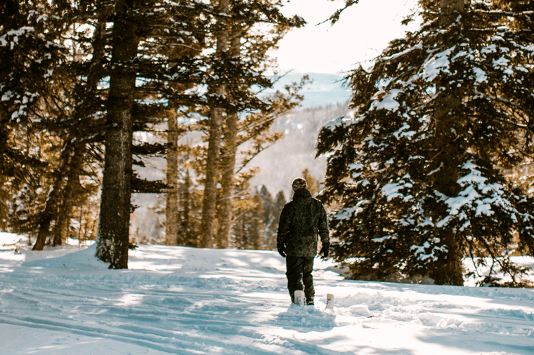 Snowboarder looking for tree boarding powder