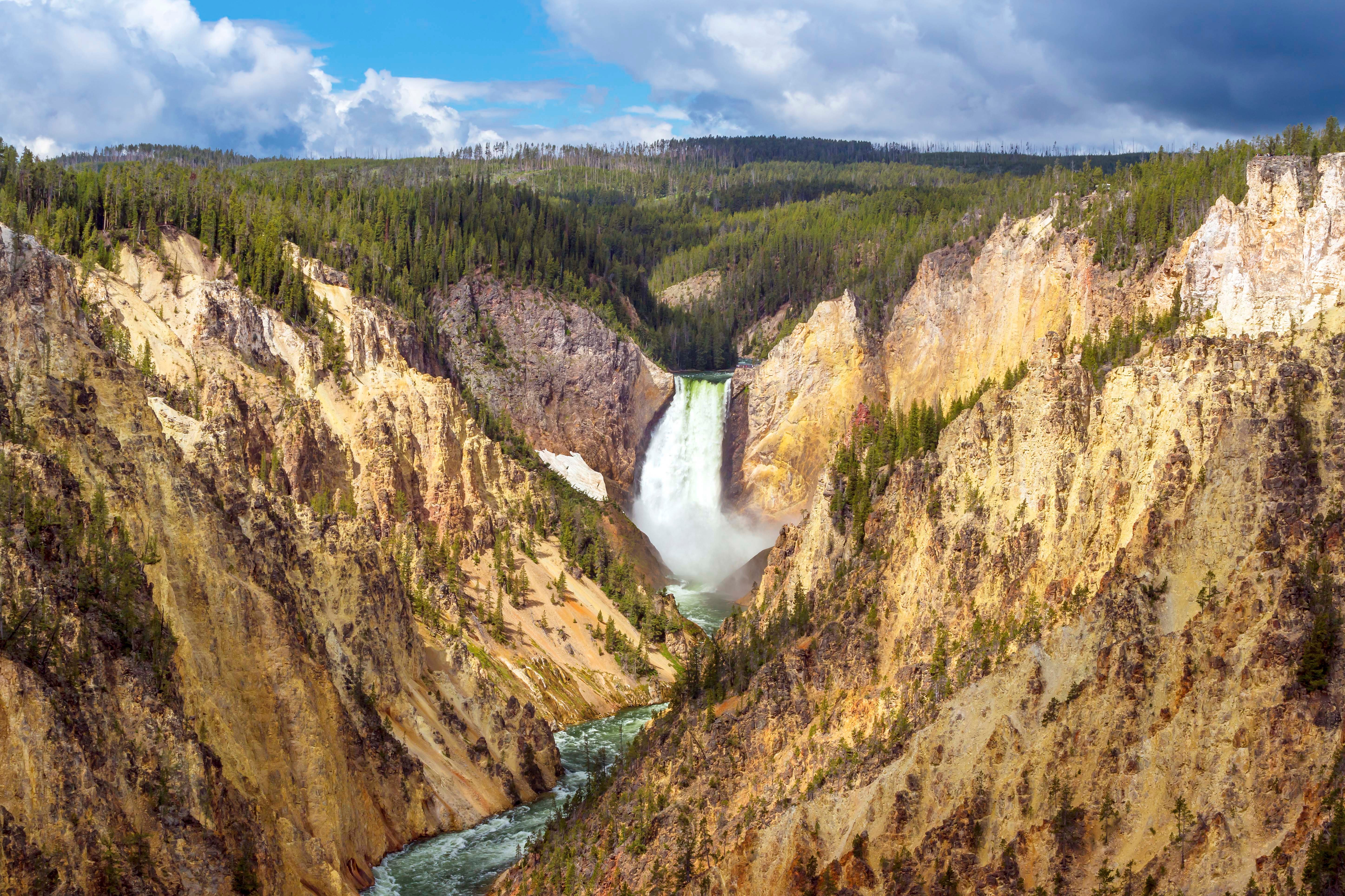 the grand canyon of the yellowstone