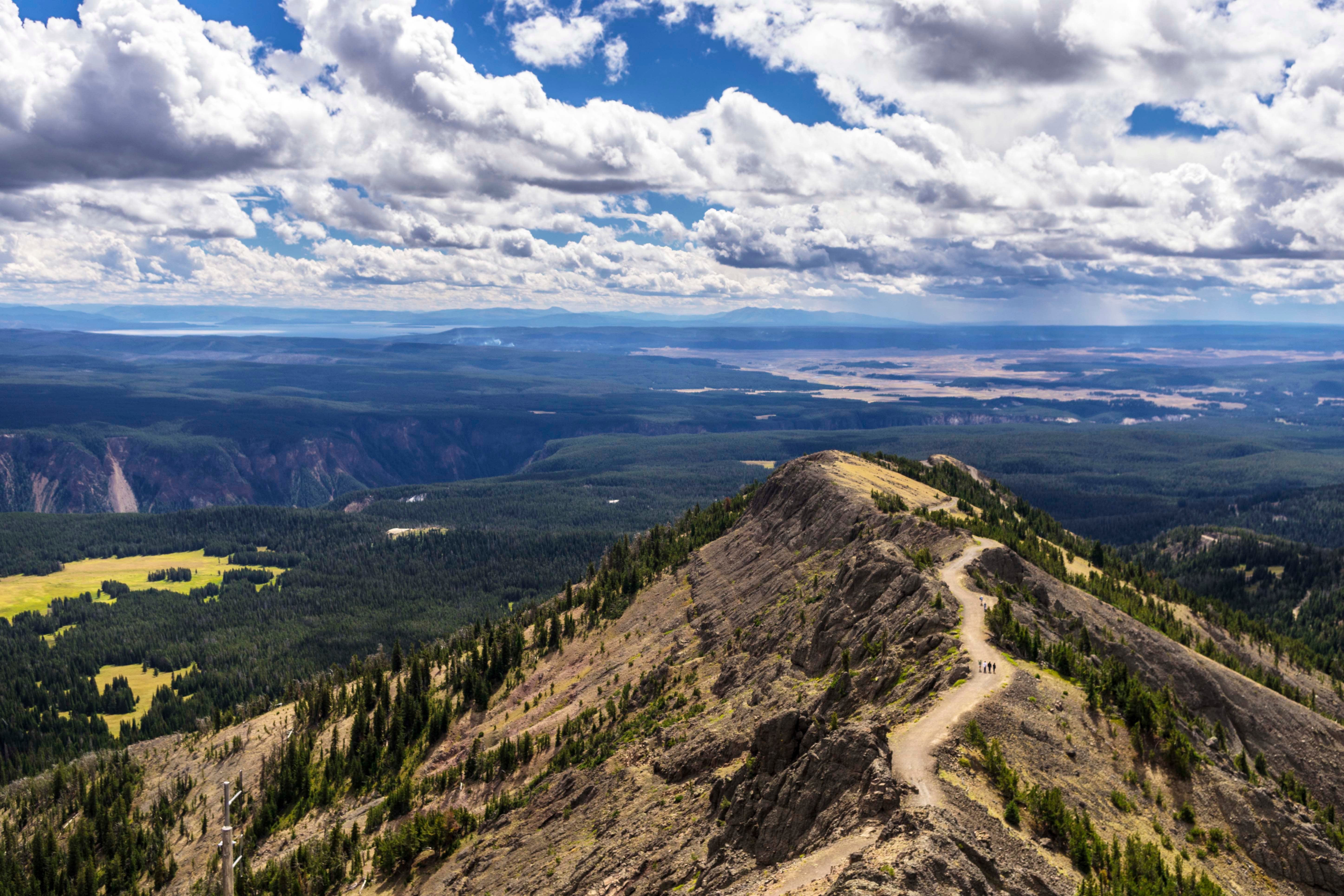 view from the top of mount washburn summit in yellowstone