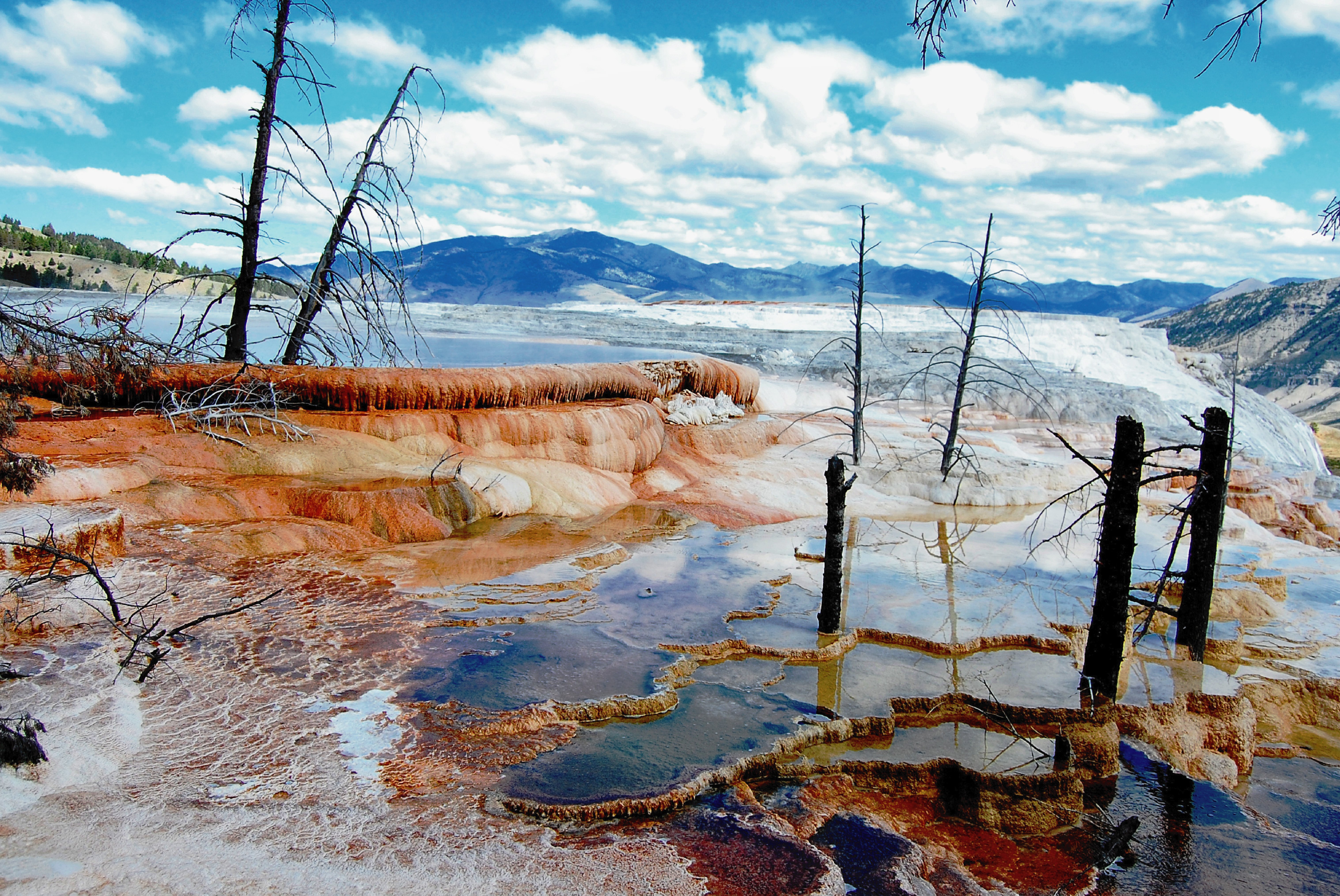 terraces at mammoth hot springs in yellowstone national park