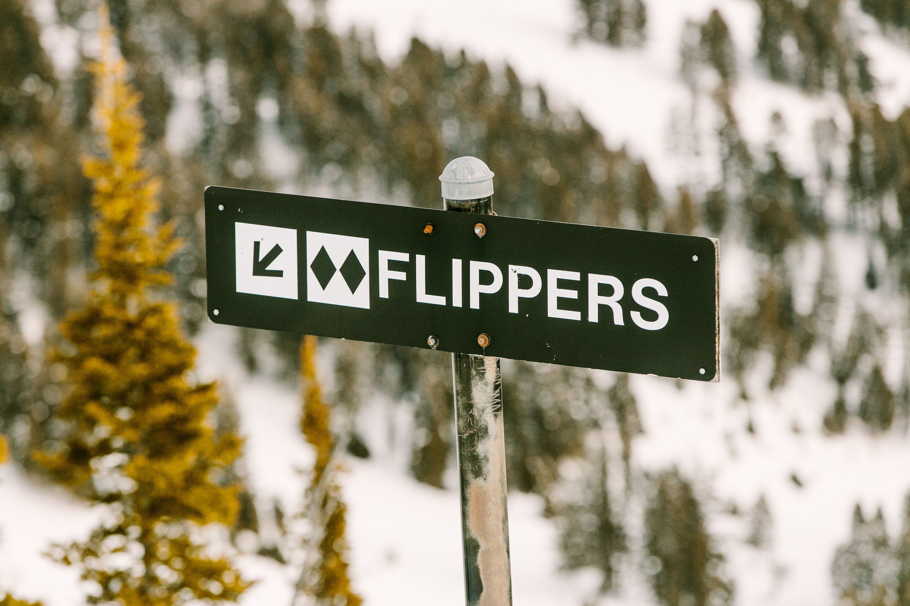 Ski sign for Flippers, Bridger Bowl, Montana