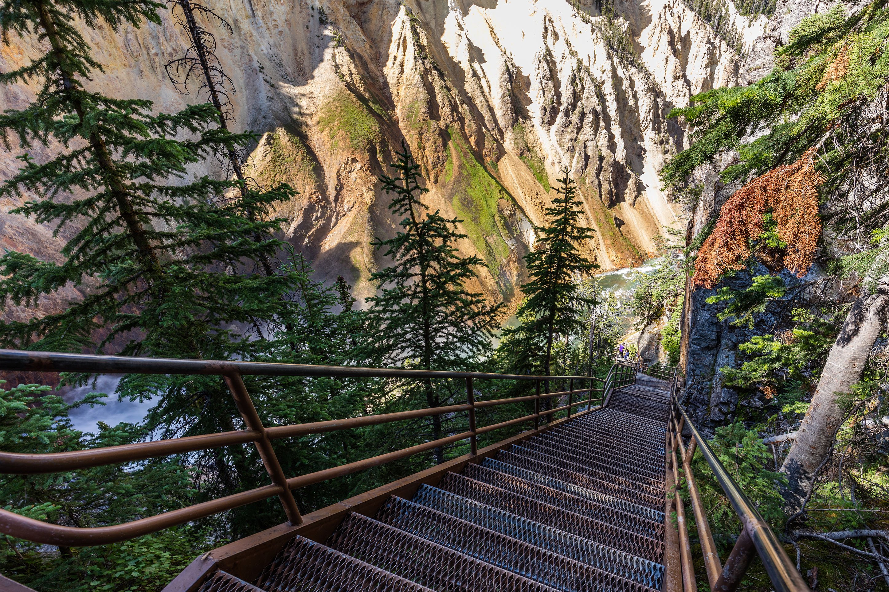 Grand Canyon of the Yellowstone