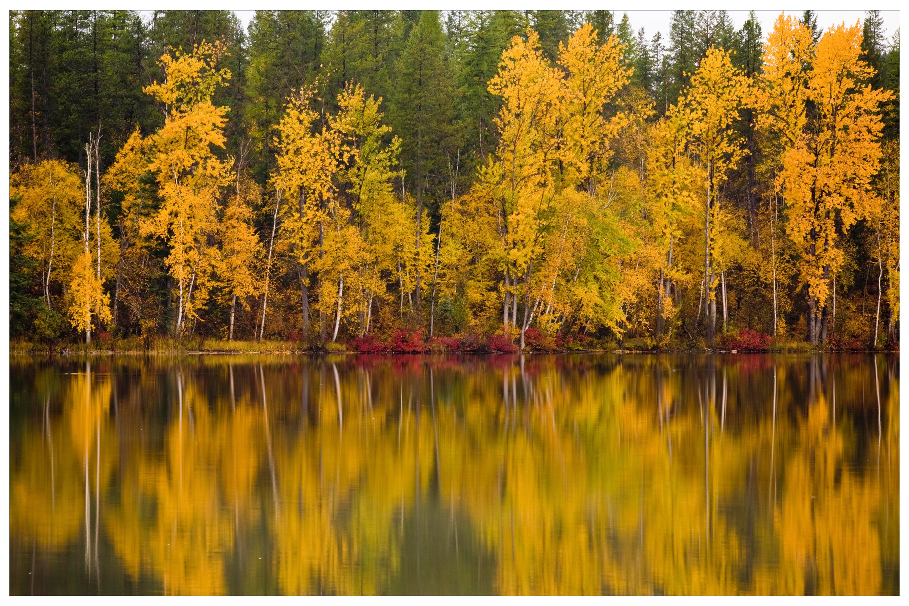 Day Trips That Maximize Your Fall Adventure in Bozeman