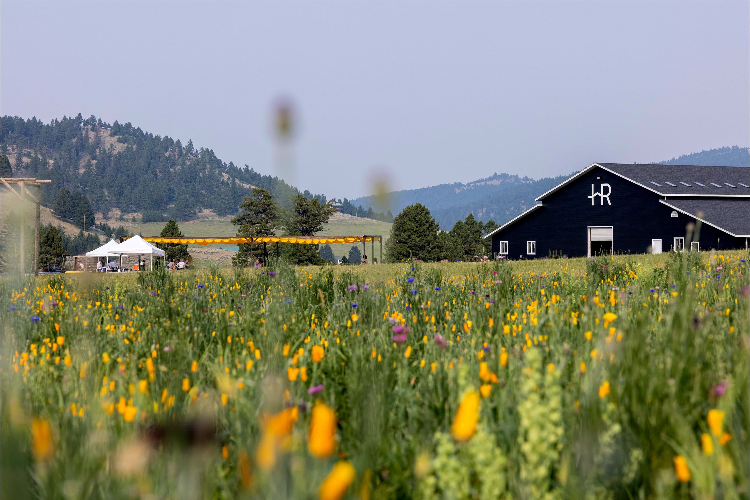 Wildflowers and barn at Hardscrabble Ranch