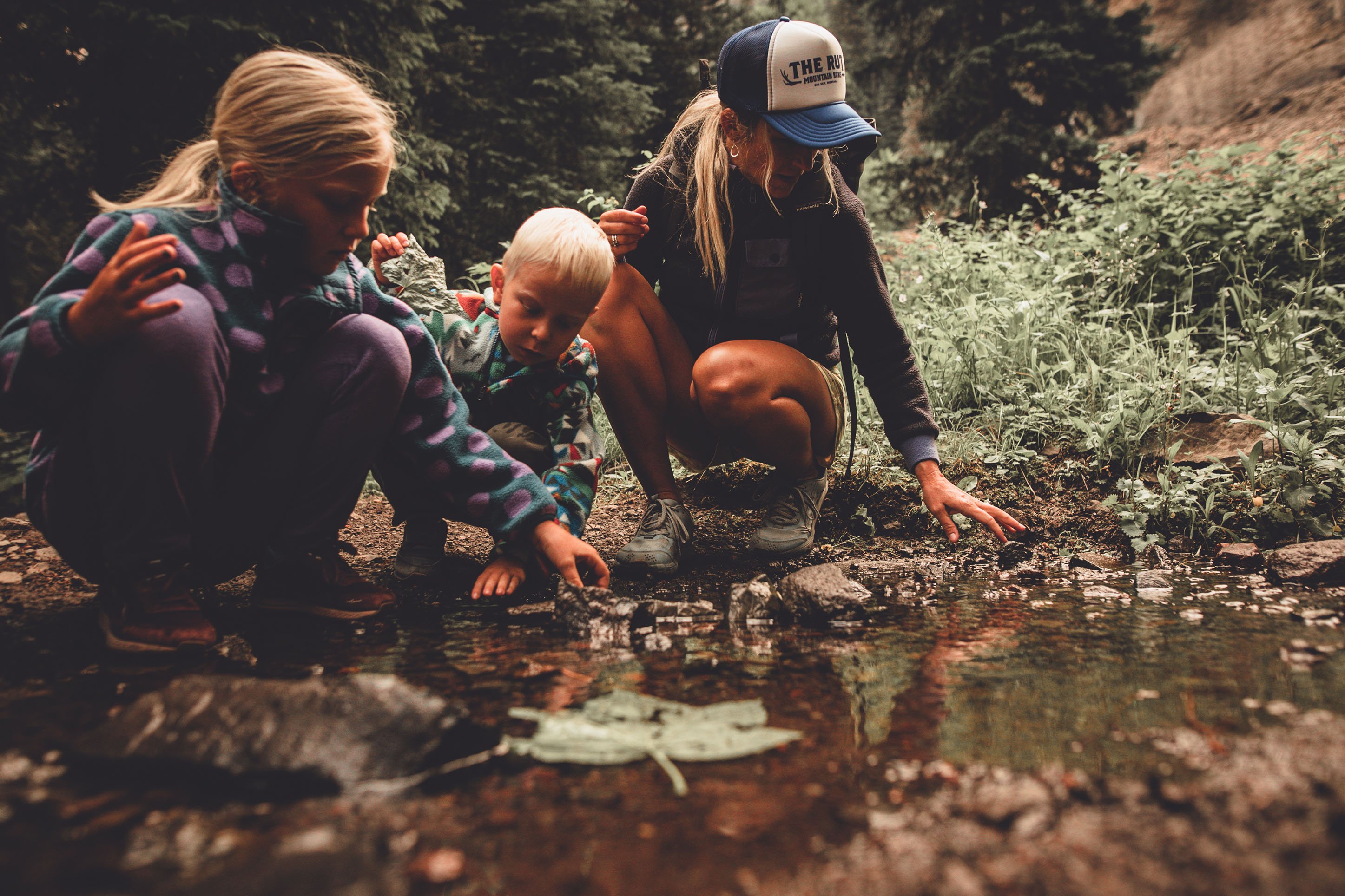 Kids playing in a creek in the forest. 