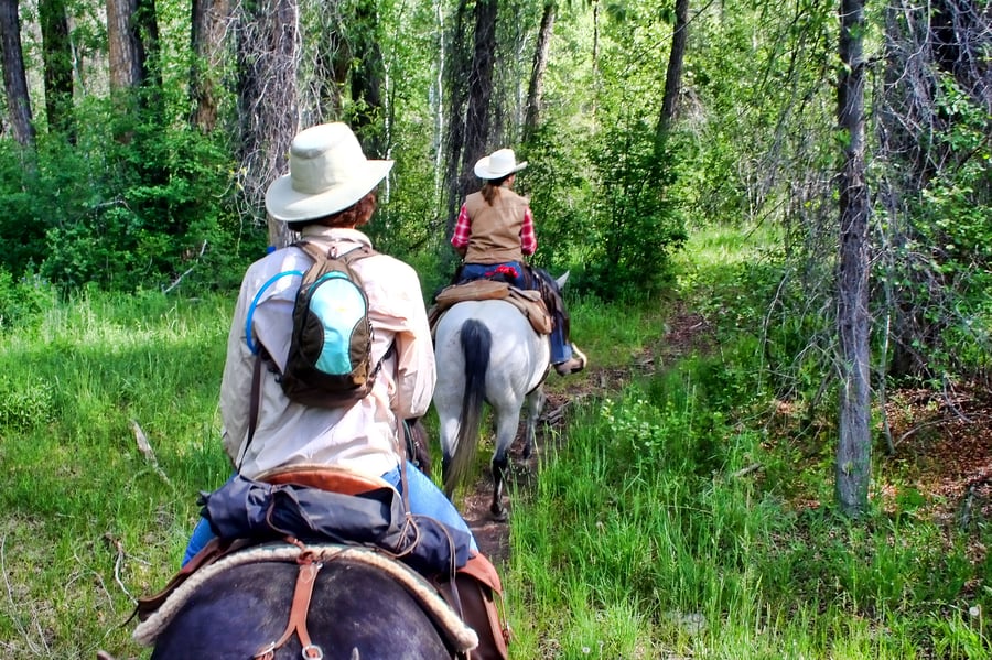 Two people horseback riding in the Montana wilderness