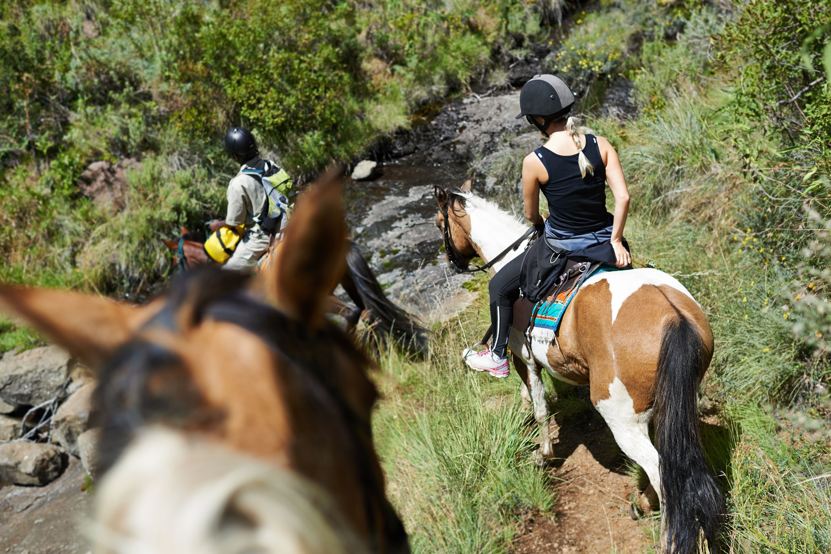 Horseback riding in the mountains near a creek