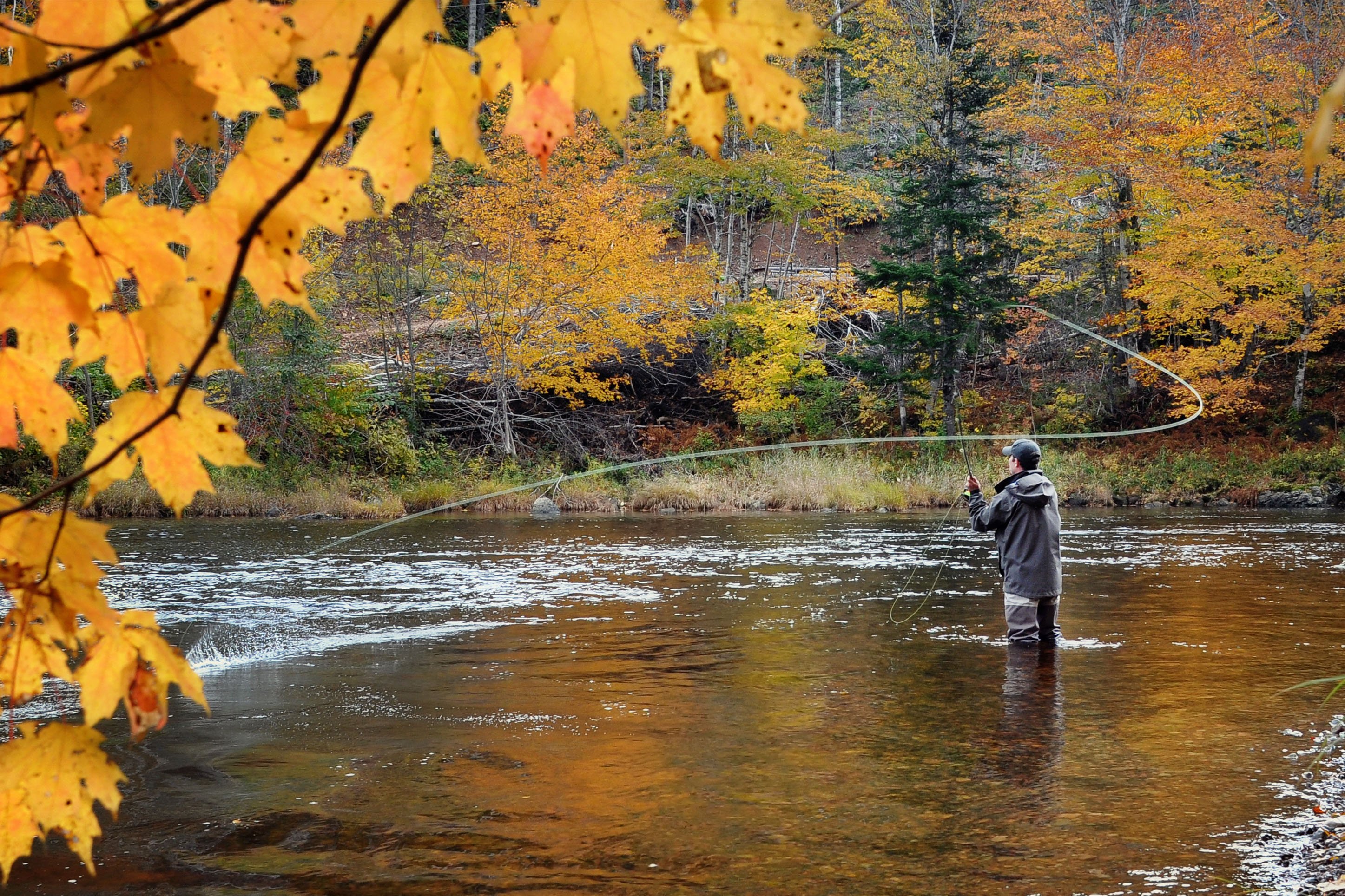 Fall fly fishing