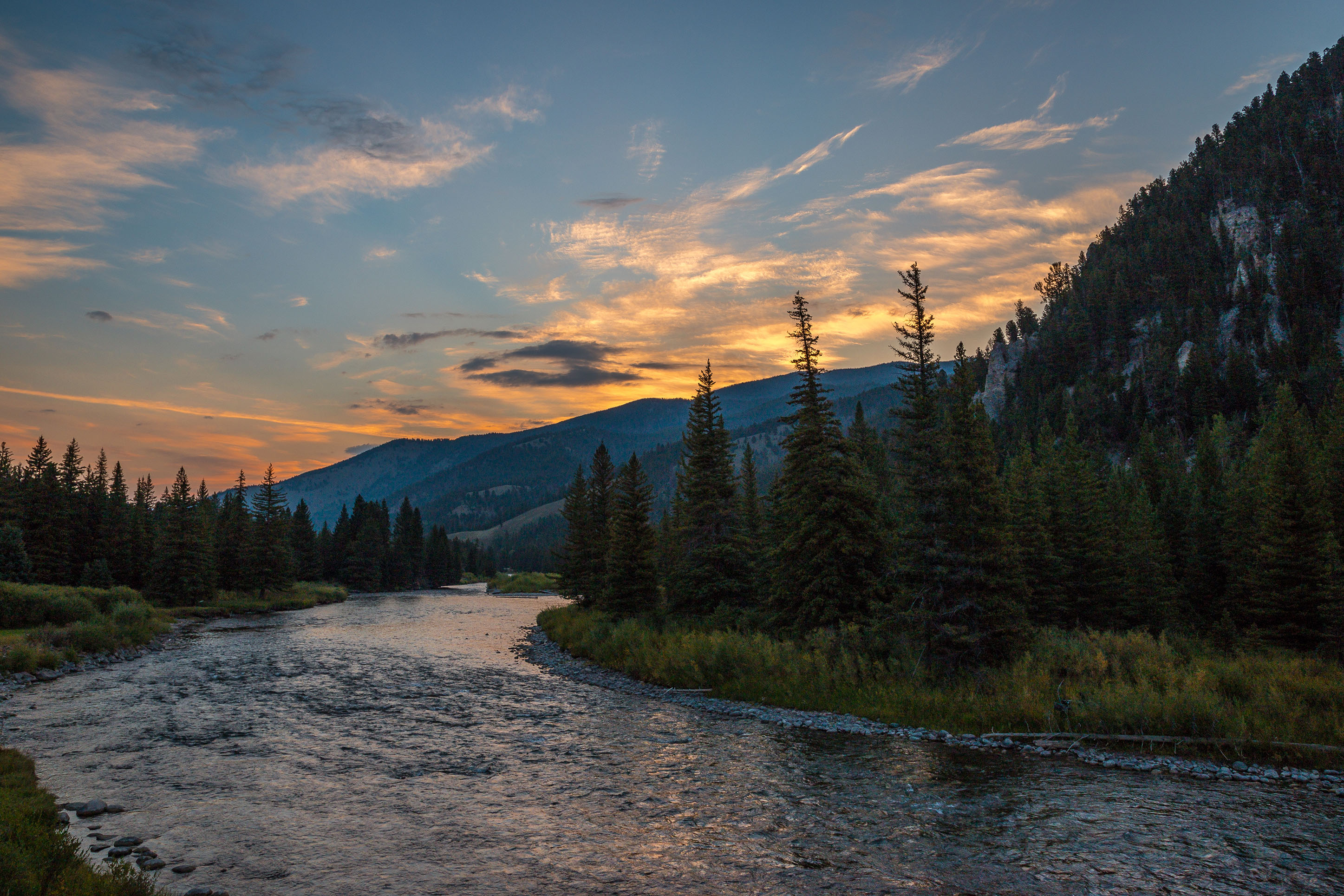 Plan The Perfect Day Trip From Bozeman To Yellowstone National Park