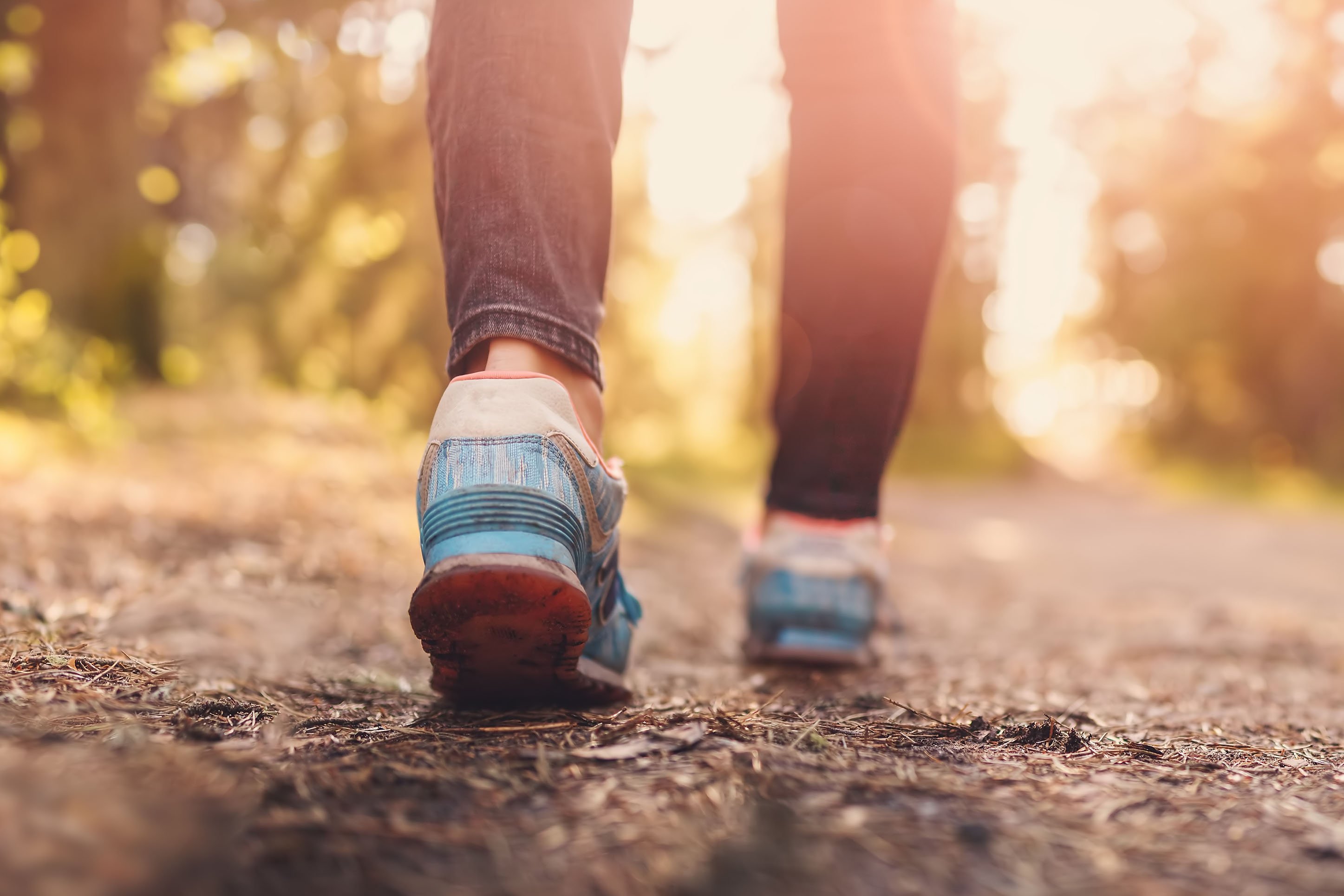 Photo of someone's shoes hiking along a trail. 