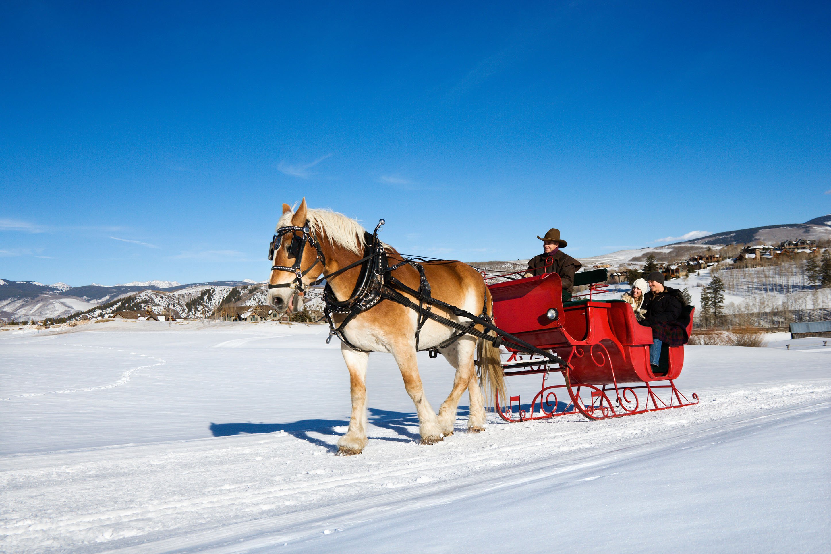 CVB_sleigh-rides-blog1