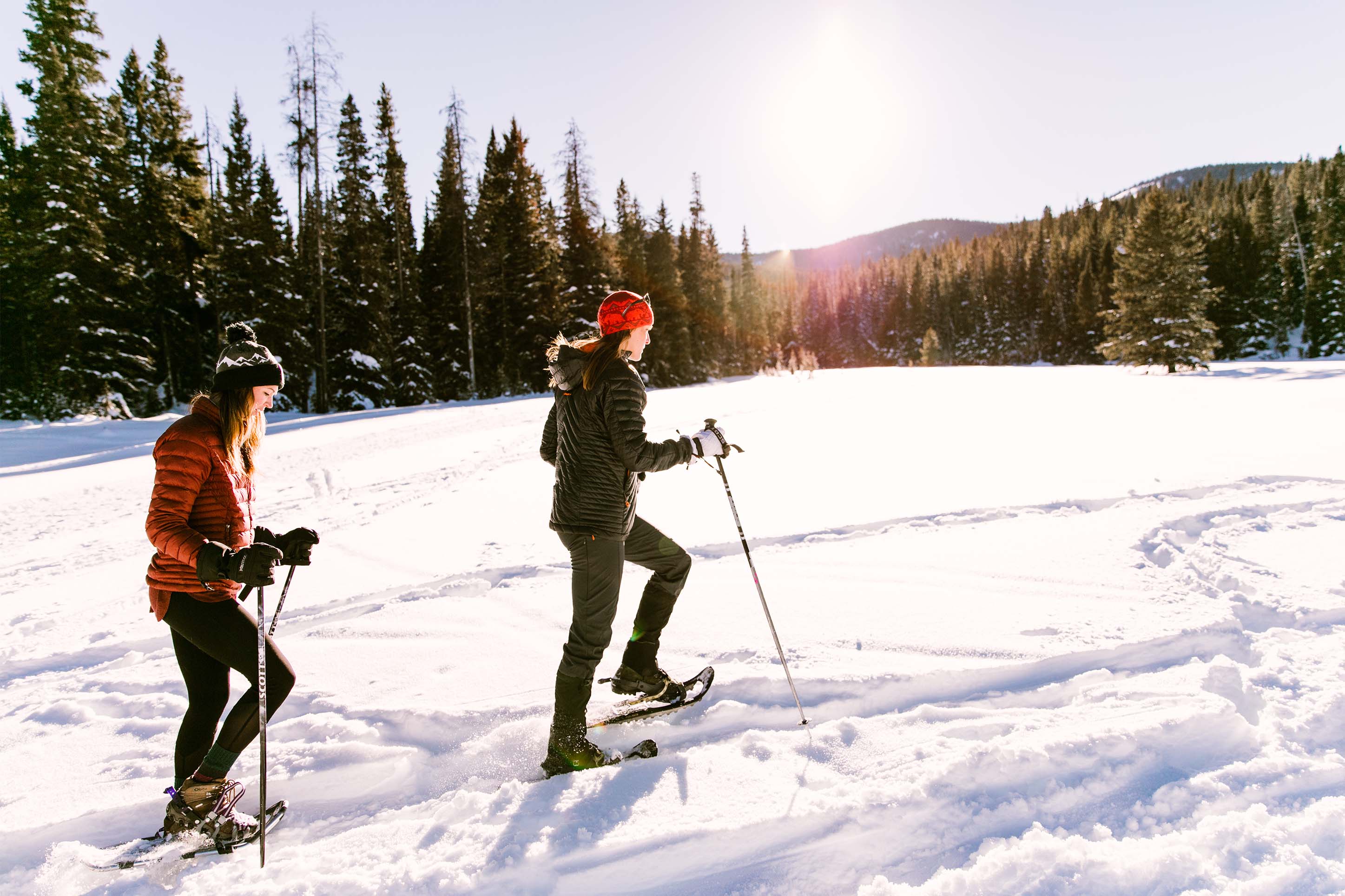 Snowshoeing 