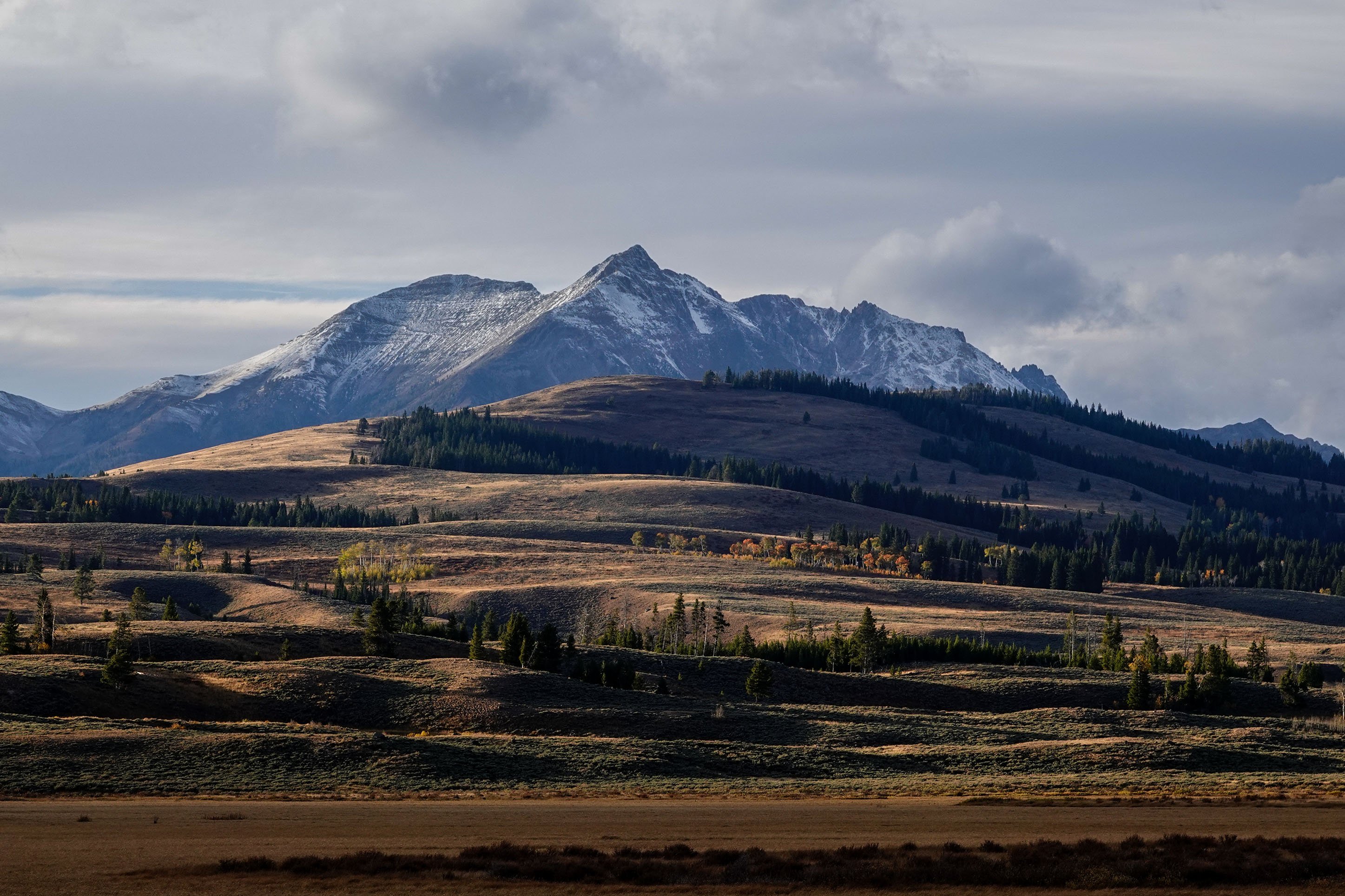 Electric Peak, Yellowstone National Park