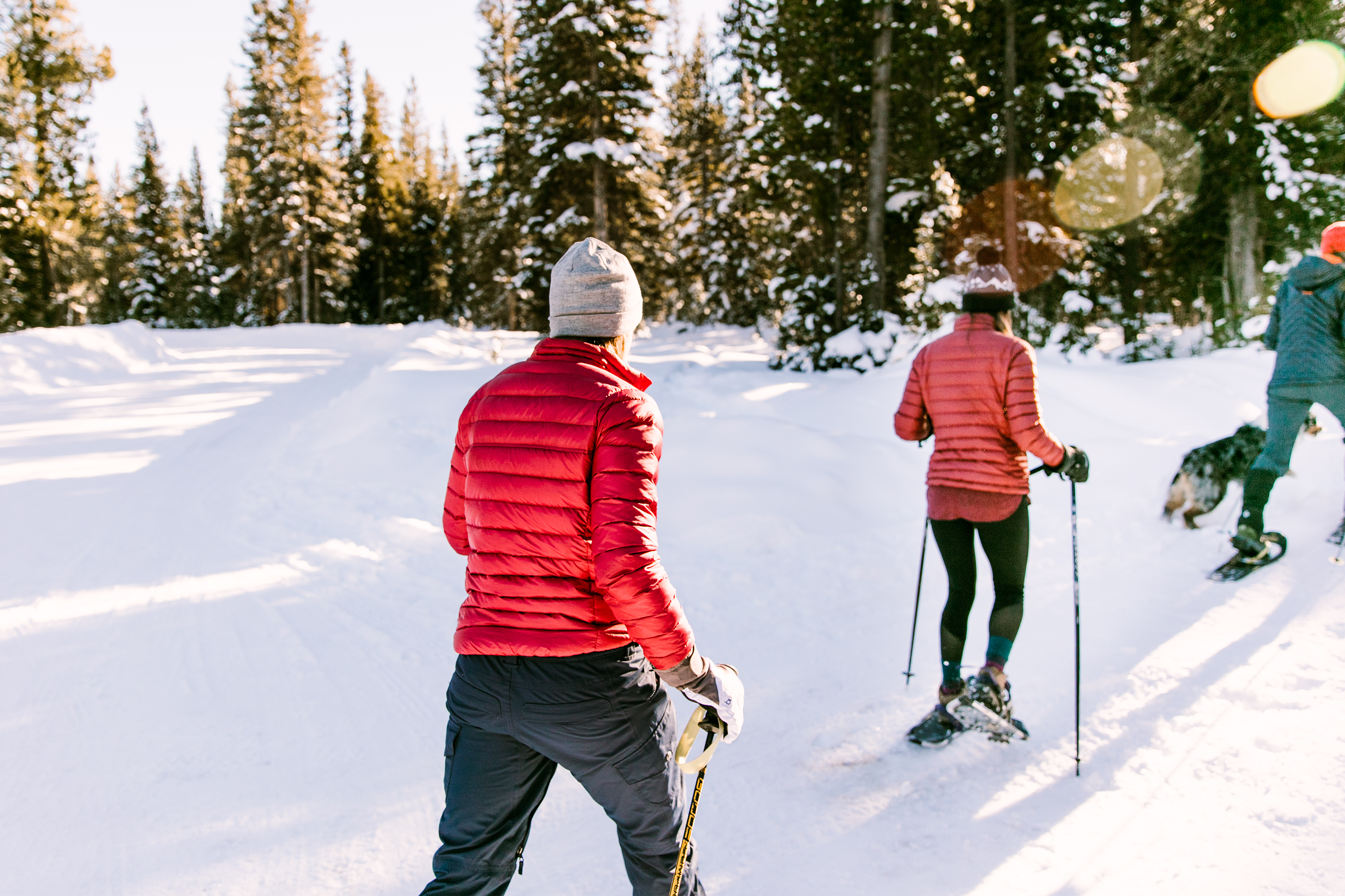 A group of people snowshoe