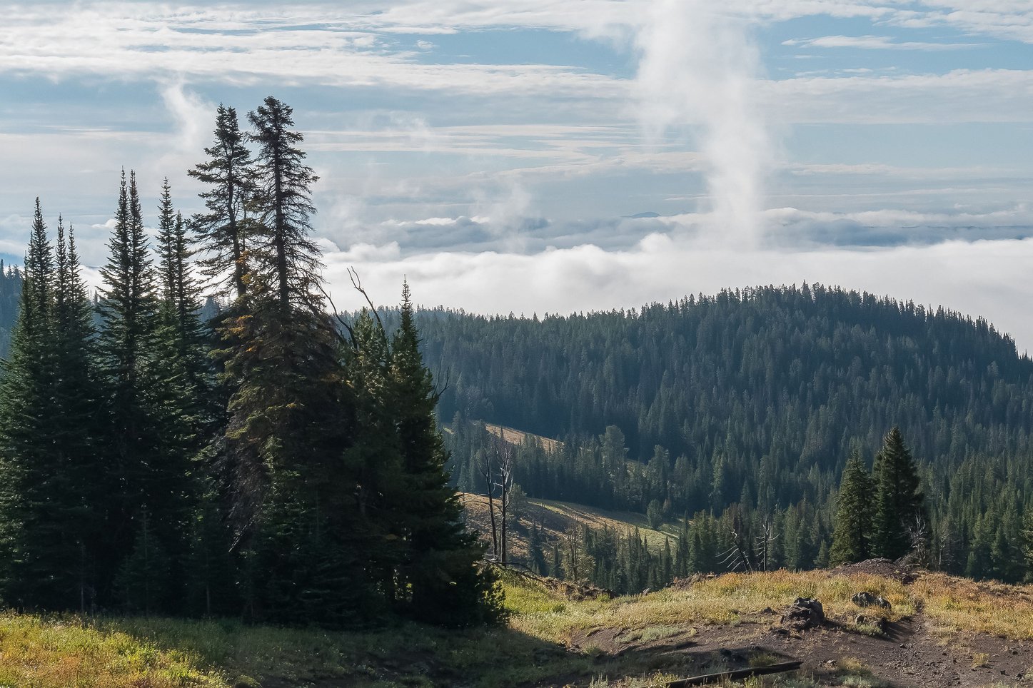 Yellowstone North Loop Reopens July 2nd