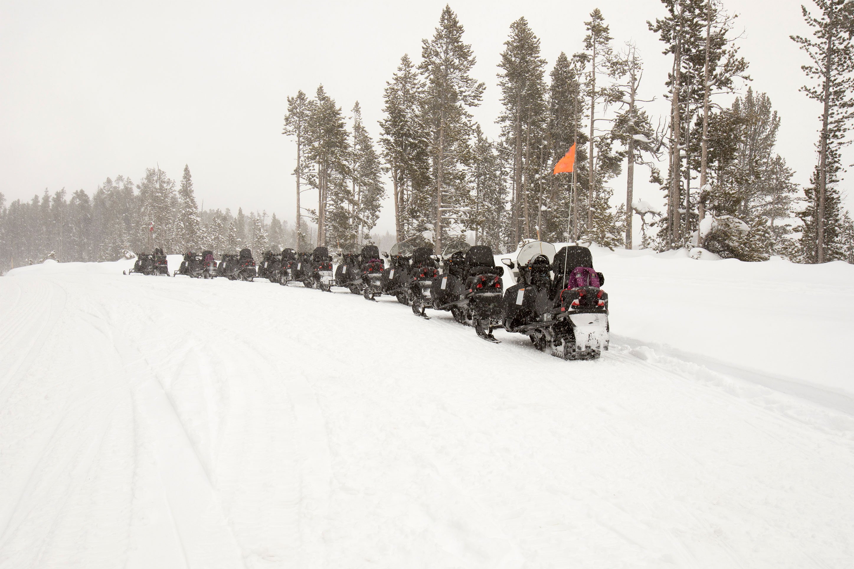 Snowmobile tours in Yellowstone National Park