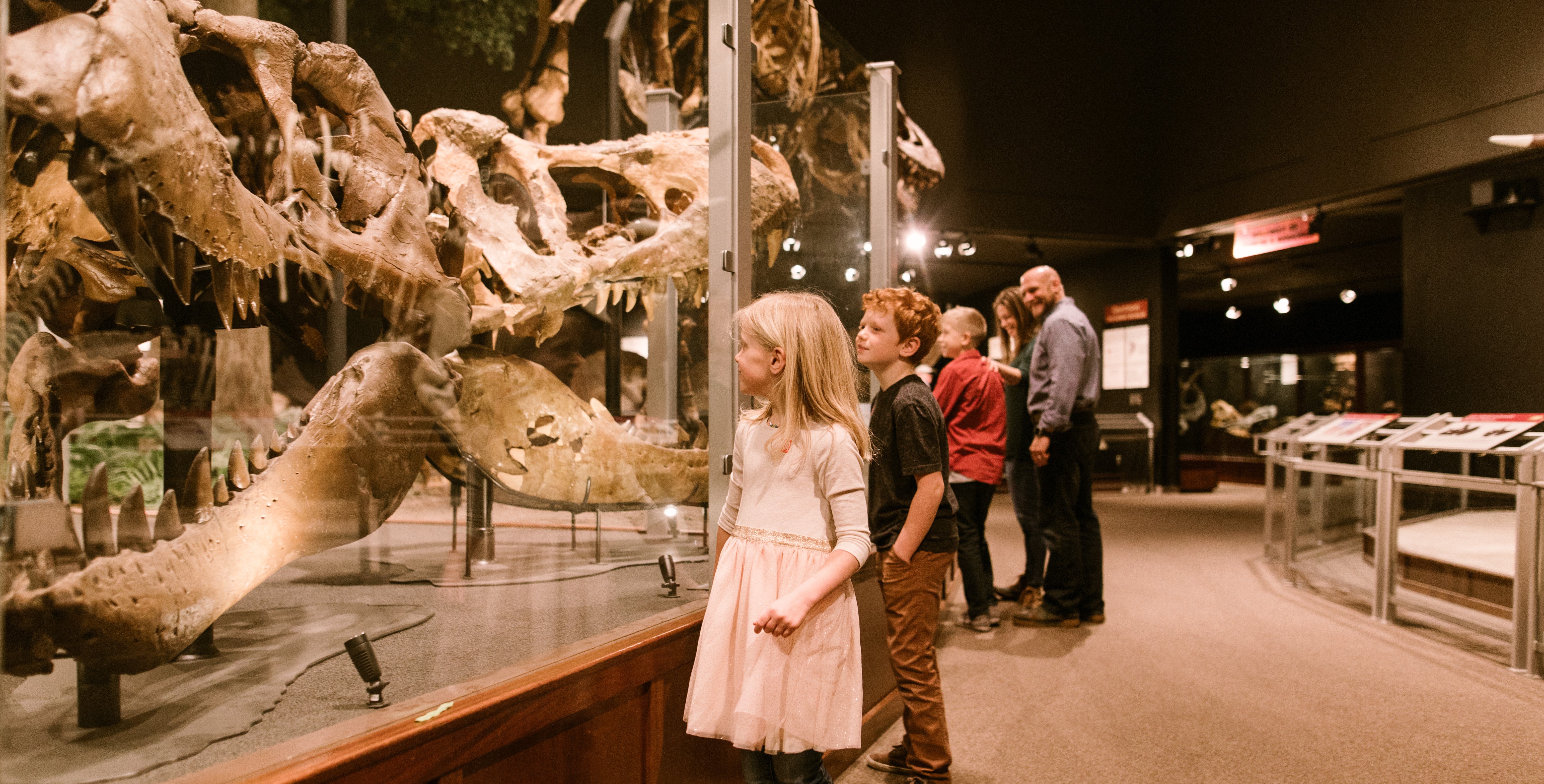 Museum of the Rockies