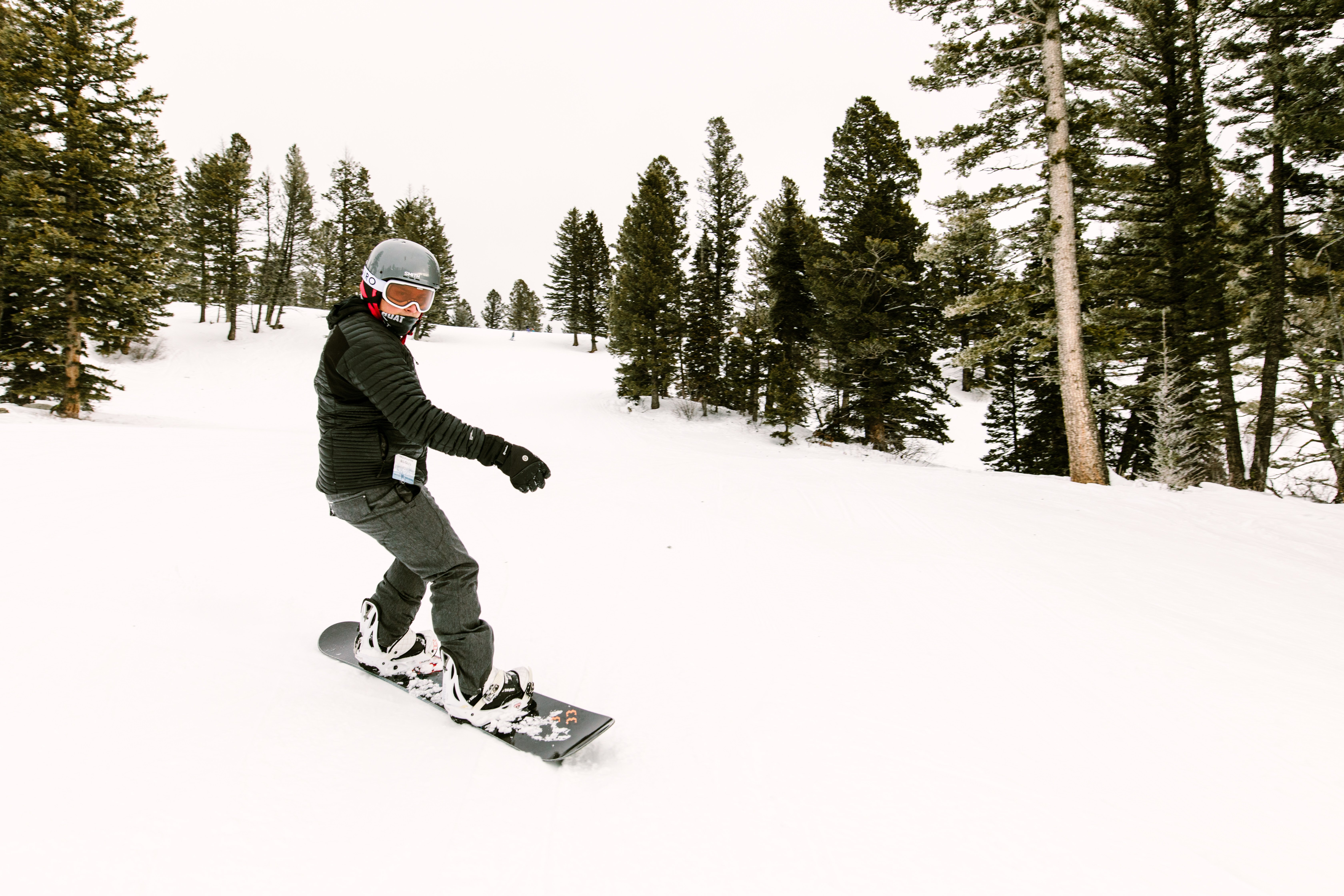 Bridger Bowl Ski Area and Big Sky Resort