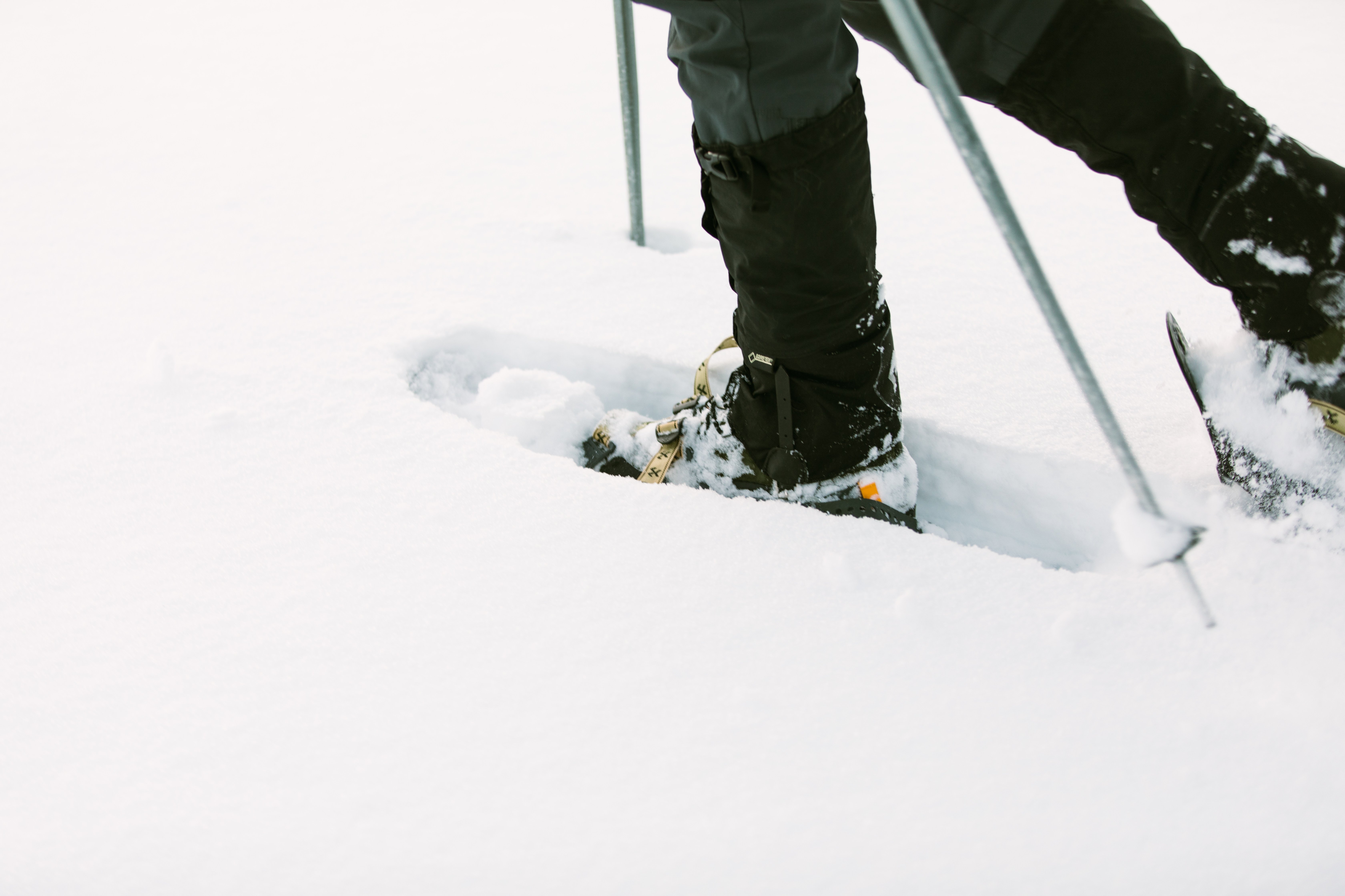 Yellowstone Snowshoeing Trips