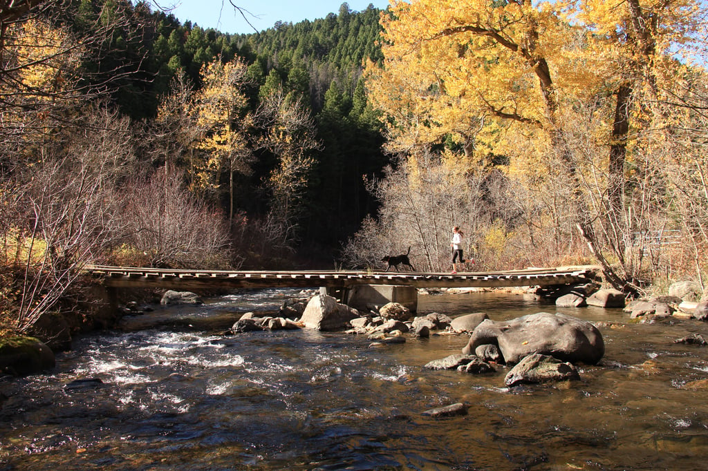 Visiting Bozeman in the Fall