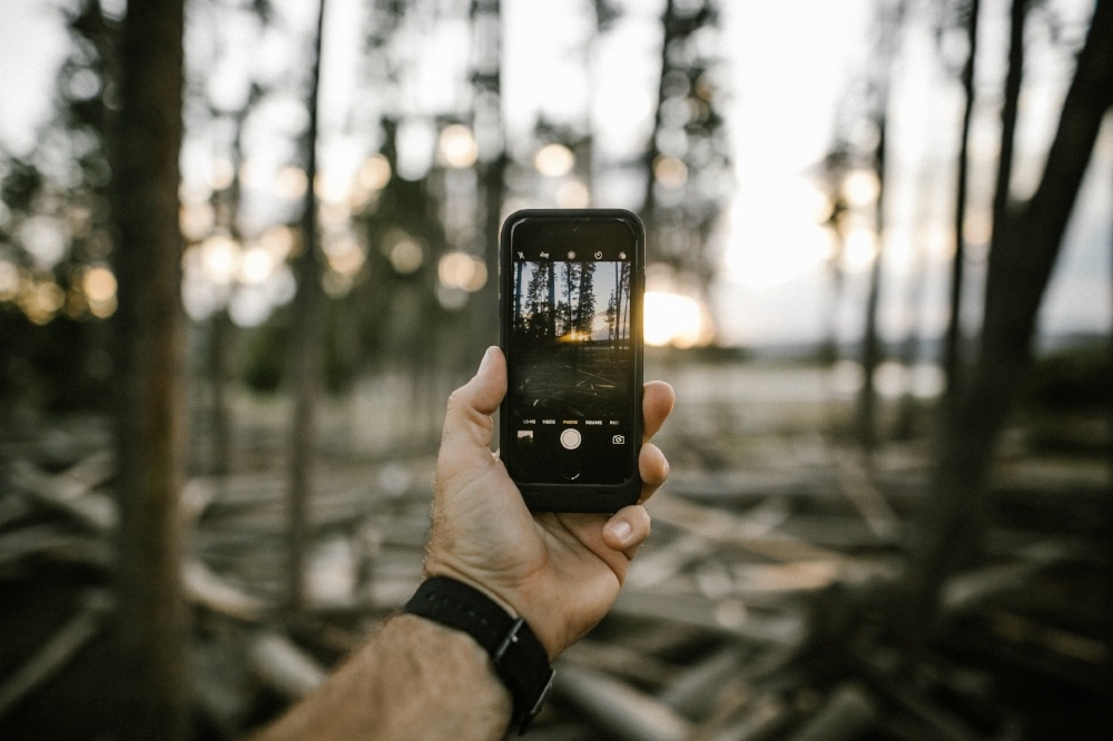 Instagram photos of Bozeman in the Fall