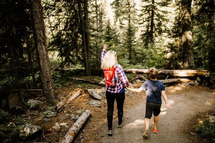 Hiking Trails Near Bozeman, Montana