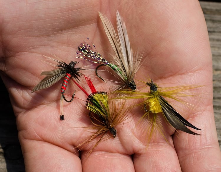 Montana fly fishing flies