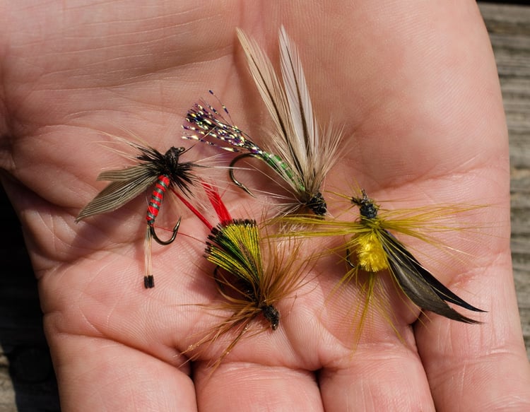 Montana fly fishing flies