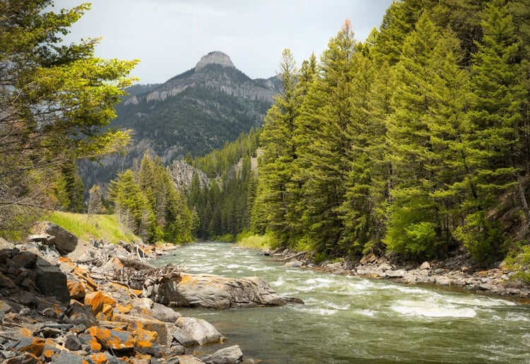 Gallatin River in Bozeman, MT