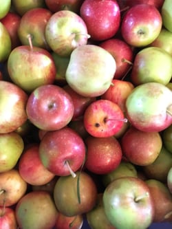 Rocky Creek Farms Produce