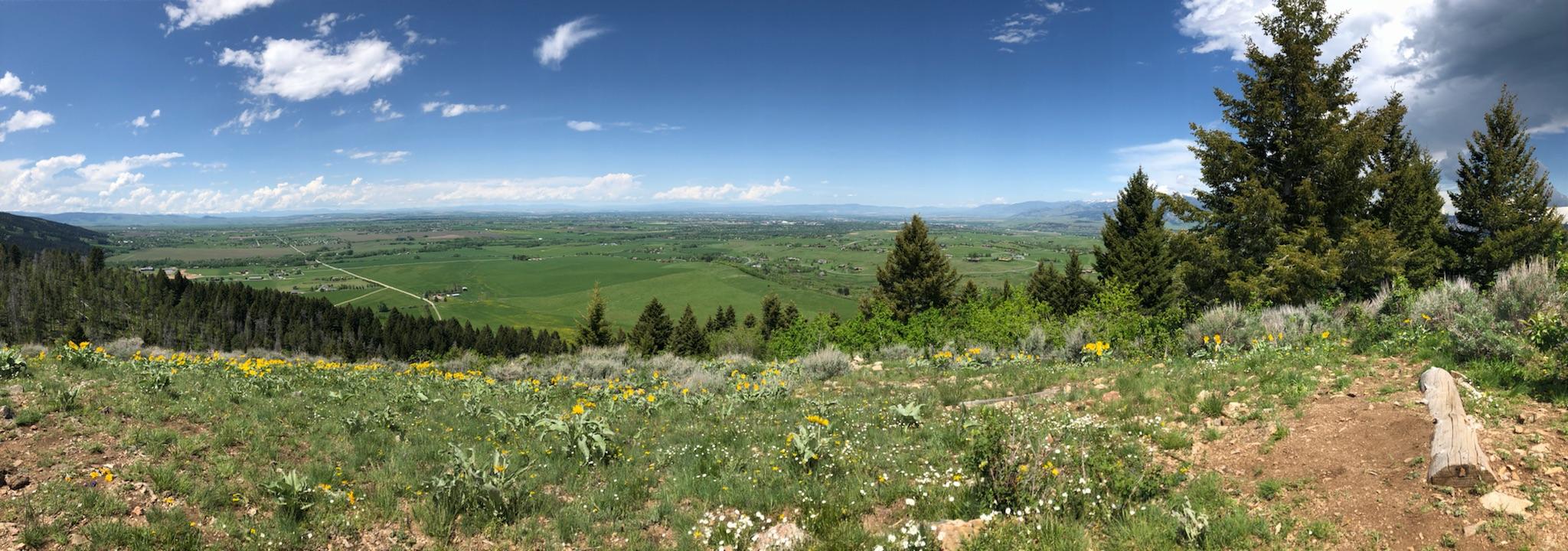 Triple Tree Trail in Bozeman, Montana