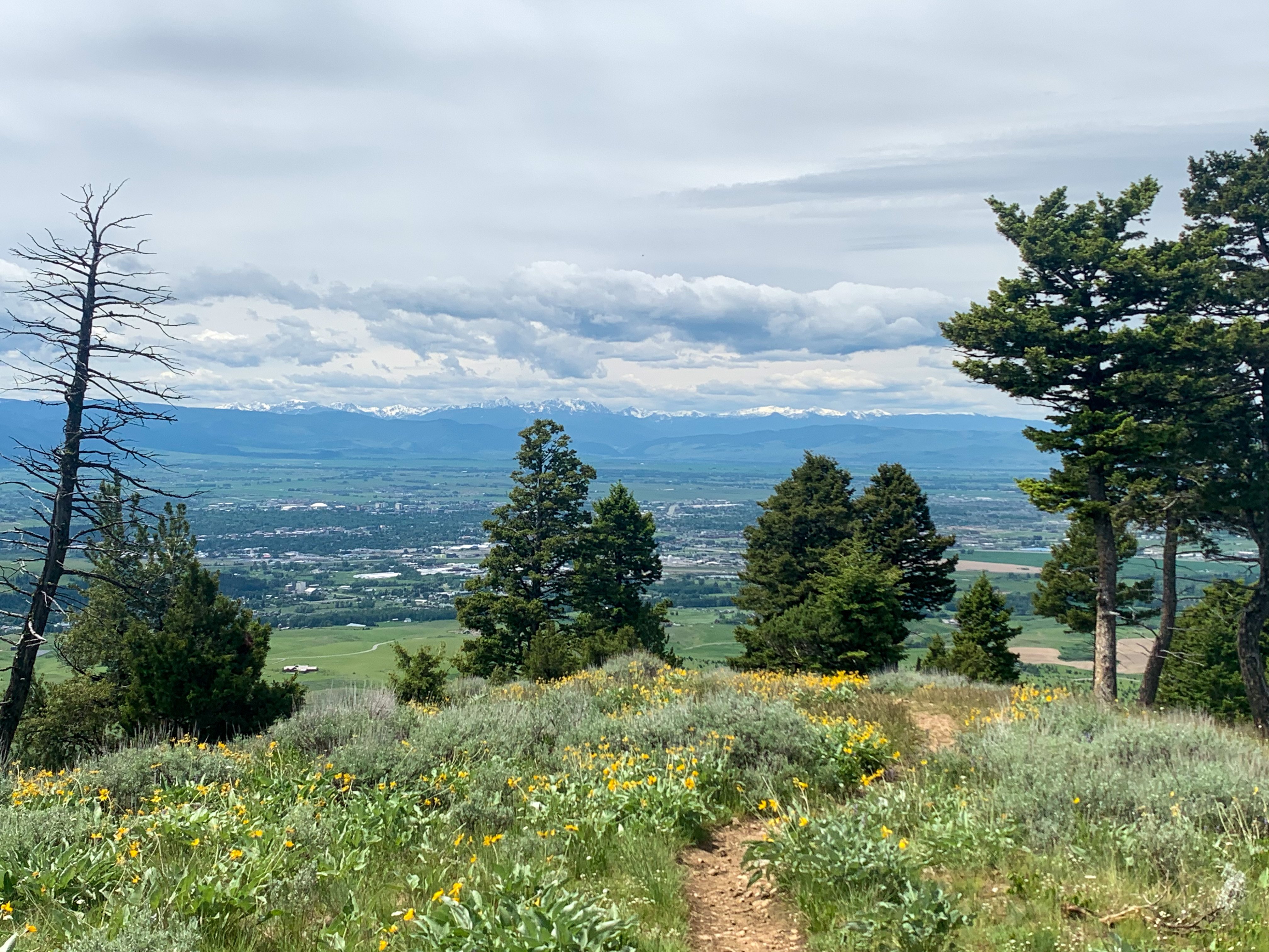 view from the top of Sypes Canyon Trail in Bozeman