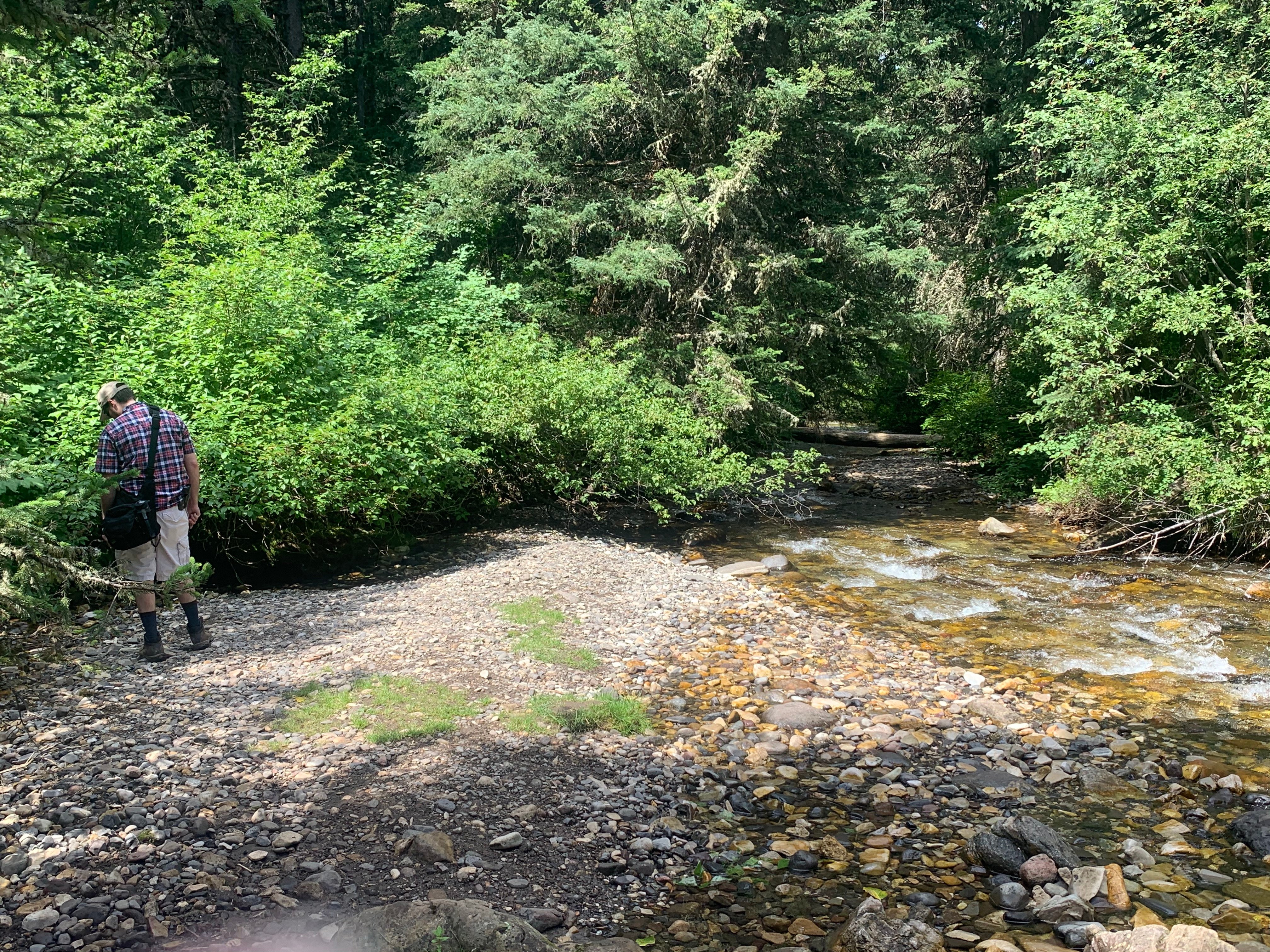 a hiker exploring south cottonwood creek trail in bozeman