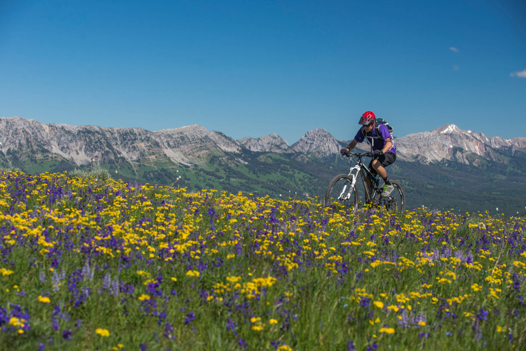 man mountain biking on a trail with wildflowers and the bridger range in the background