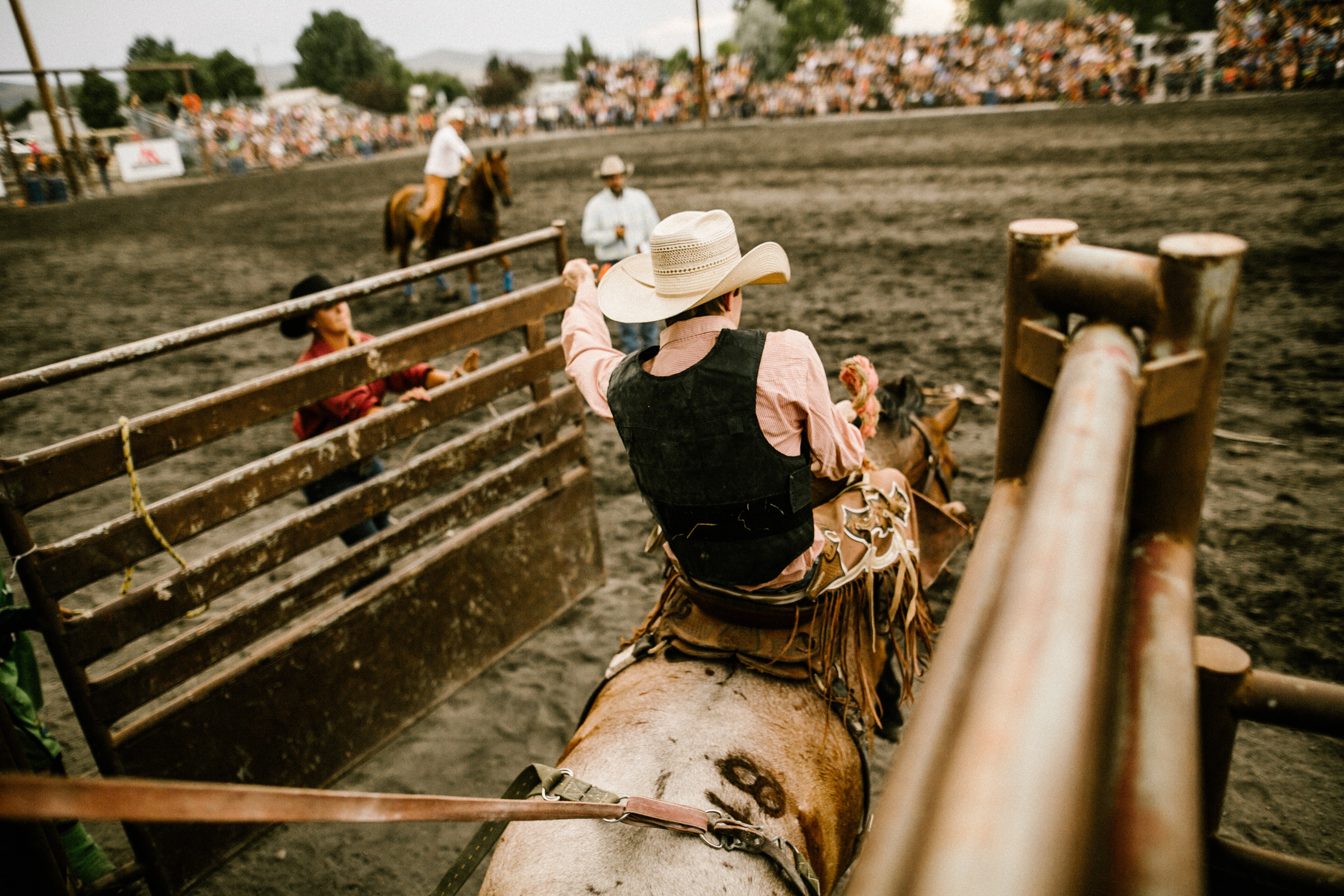 cowboy competes in a bucking bronco competition at a rodeo