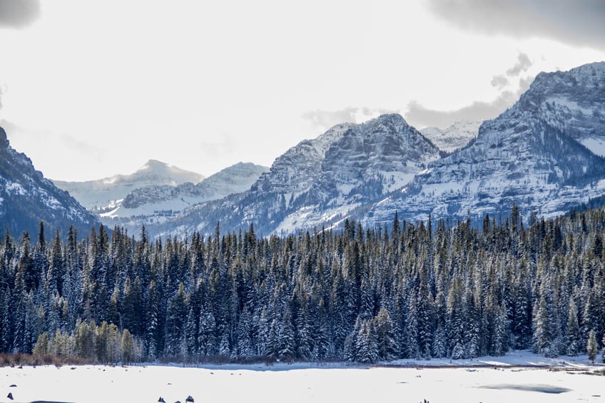 A Guide to Snowshoeing in Bozeman