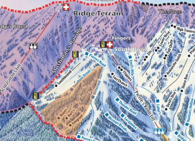 Bridger Bowl Tree Skiing