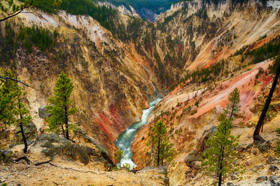 The Grand Canyon of the Yellowstone