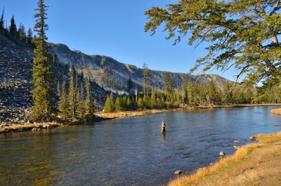 Fly Fishing in Yellowstone