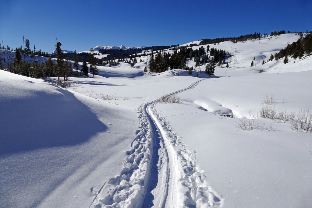 Cross-Country Skiing and Showshoeing in Yellowstone