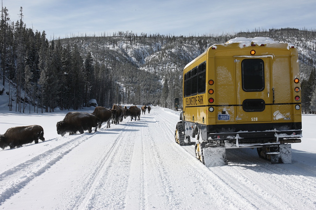 Snowcoach Tours in Yellowstone