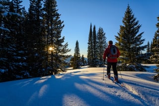 Nordic skiing in Yellowstone National Park