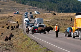 How To Get To Yellowstone National Park From Bozeman, MT