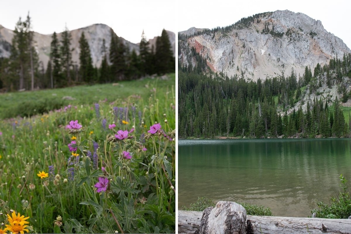 Left image: Wildflowers on a trail in the Fairy Lake area. Right image: Fairy Lake with mountains behind it.
