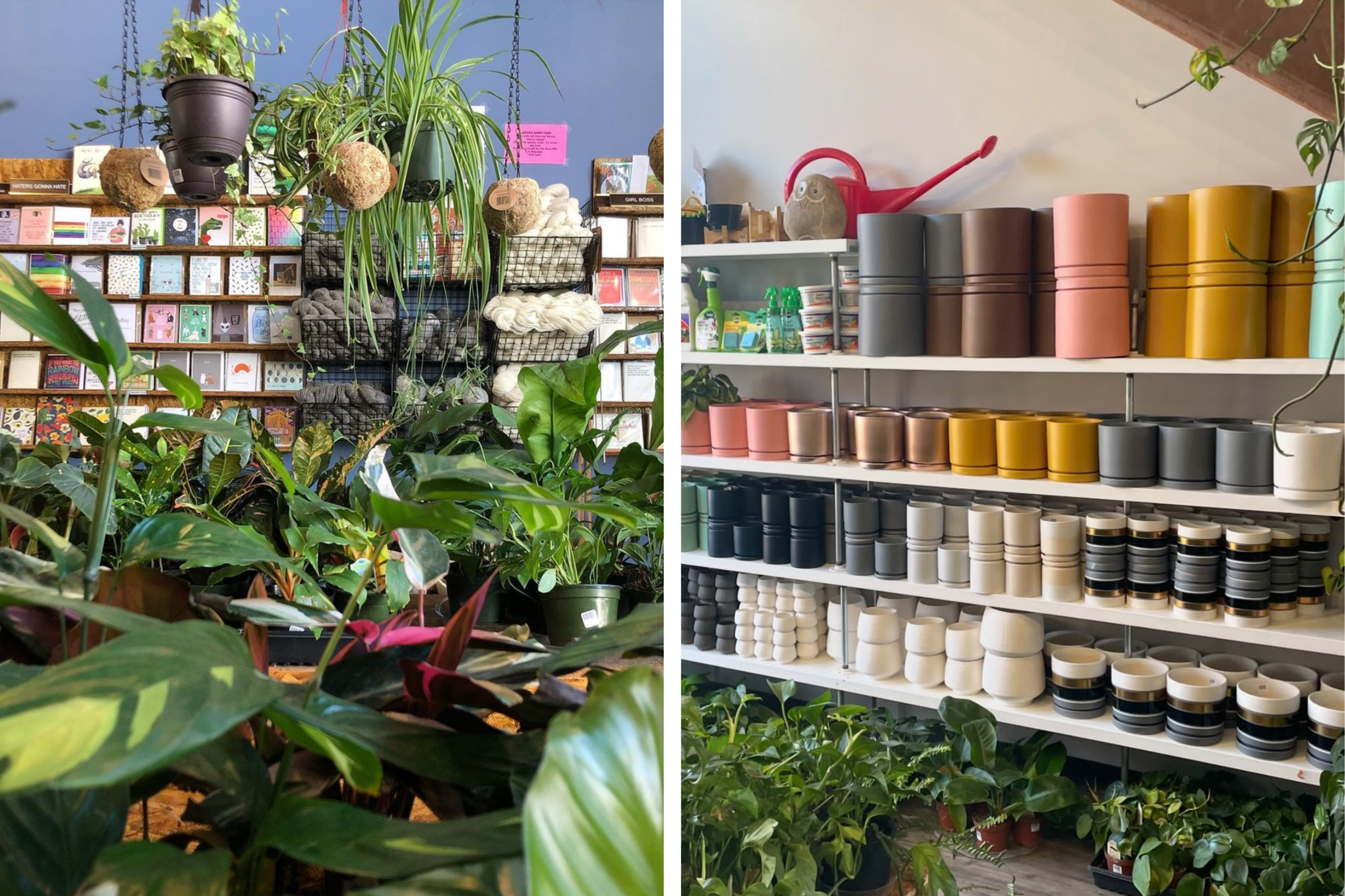 Garden Barn's selection of plants, pots, and cards on display in the store