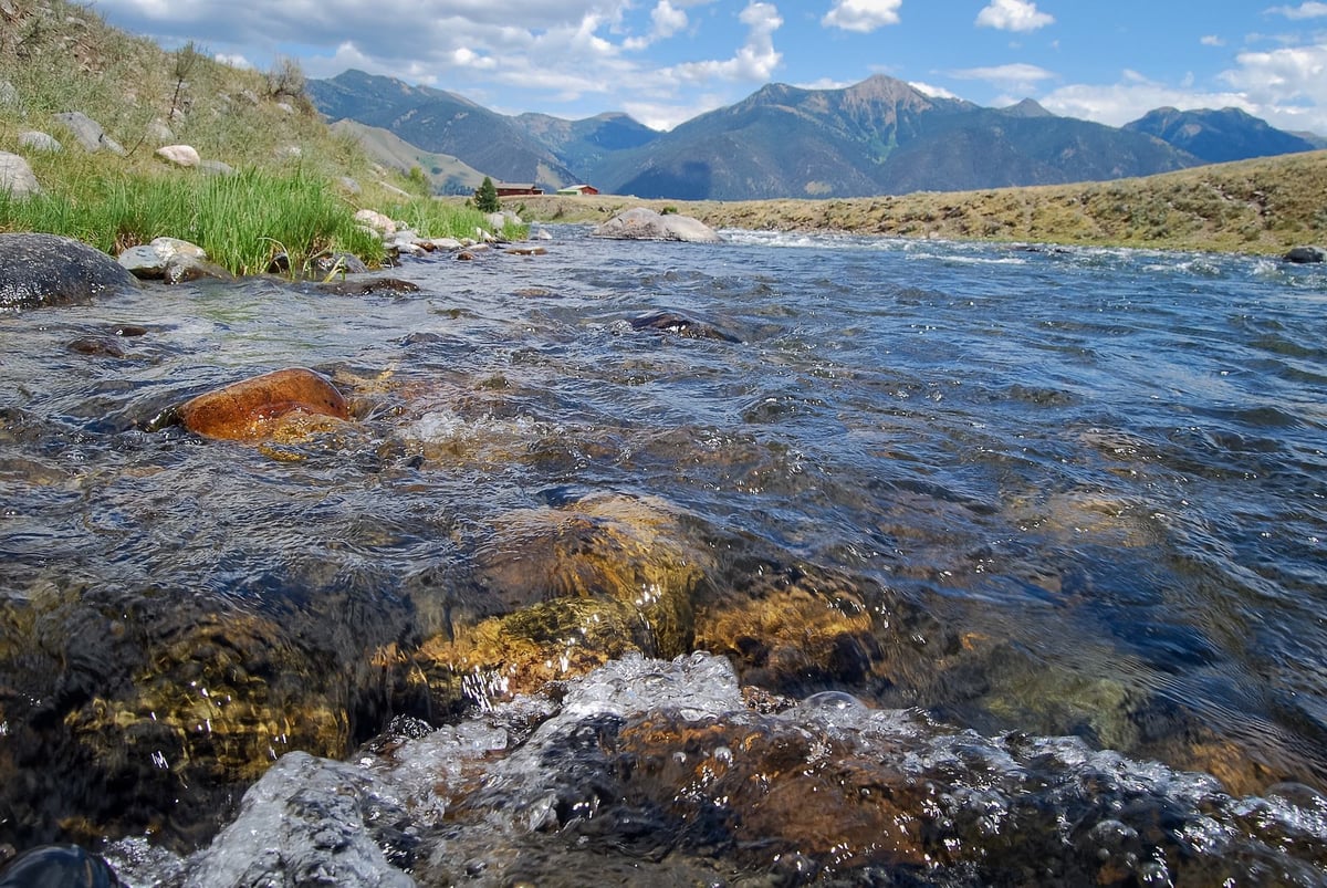 Madison River in Bozeman